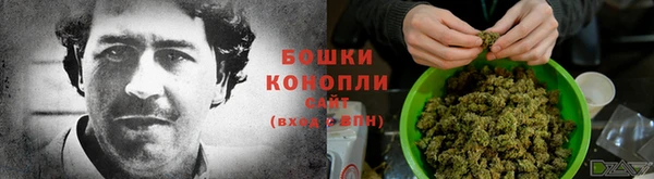 прущие грибы Зеленокумск