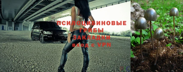 трава Сосновый Бор