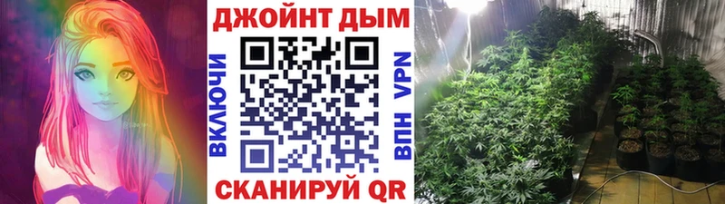 Купить где  Сухой Лог  Марихуана OG Kush 
